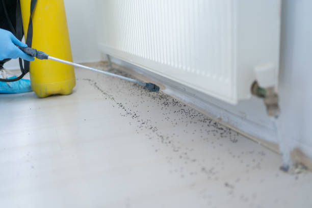 Best Wildlife Control Services  in Swartz Creek, MI